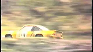 Grizedale stages rally C1991