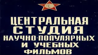 Социалистическая система мирового хозяйства