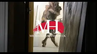 🎨 Review dei colori a olio MICHAEL HARDING con l'Artista HENRIK ULDALEN 👨‍🎨