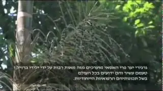 תהליך יוצא דופן