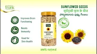Nature's Trunk Sunflower Seeds