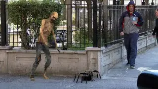 Pegadinha Ataque Das Aranhas Gigantes Na Cidade - Pegadinha