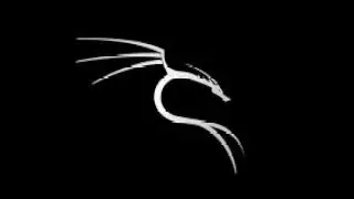 Podcast Ethical Hacking and Penetration Testing with Kali Linux (eng)