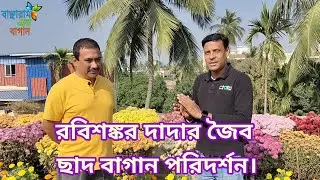 রবিশঙ্কর মজুমদার দাদার জৈব ছাদ বাগান পরিদর্শন/@Banchharamerbagan/organic garden
