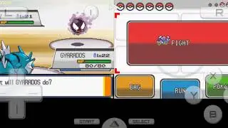 #4 Pokemon Heart Gold-Vs Morty