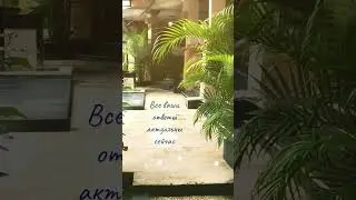 Смогли бы вы сохранять осознанность...