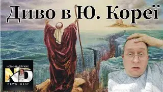 Диво в Ю.Кореї