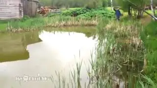 Засада на рыбалке