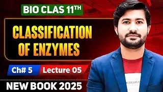 Classification of Enzymes on the Basis of substrate and Reaction | class 11 Biology 