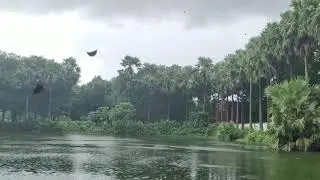 just another video
