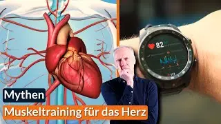 Muscle Challenge No. 1 | Myths Debunked | Why Muscle Training Is Essential for the Heart