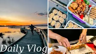 Daily Vlog | Making Gimbab and Picnic