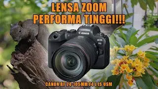 Lensa Zoom Performa Tinggi | Review Lensa Canon RF 24-105MM F4 L IS USM