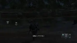 [FOR ARCHIVE] MGSVTPP