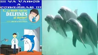 Y ¿A dónde van los delfines al doctor?