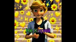 Леди Баг и Супер Кот/клип/Не Киряй