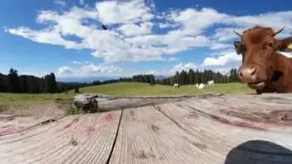 Residence Clara - visita a 360°