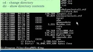 Testing mySQL from the Command Line Window