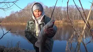 Fishing on Tym. Did the Sakhalin woman eat many shellfish?
