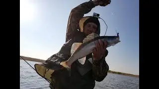 22.05.2019г Чаглинское водохранилище. Открытие по джигу после запрета