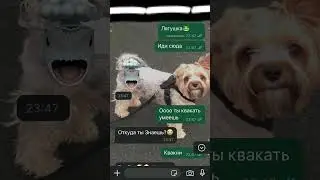 Видео с лпшкой