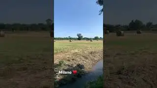 Anche questa è Milano ♥️