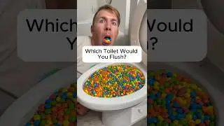 Experiment: Eating and Flushing Colorful JUNK FOOD in Toilet #shorts