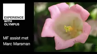 Learn with Olympus (1)  | MF assist