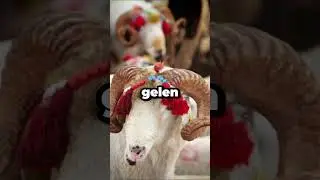 HAC YOLCULUĞU