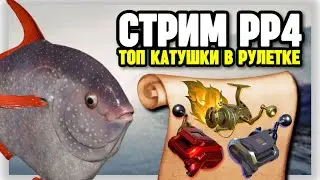 🔴 СТРИМ РР4┃🔥ЗА РЕДКОЙ РЫБОЙ на НОРВЕЖСКОЕ МОРЕ┃🎁 РАПТОР и ВЕНГА в рулетке┃maXS1k
