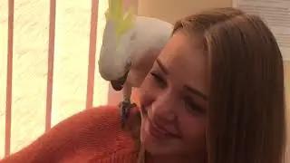 Cockatoo Kiryunya interviews a new employee at My Salon.