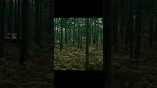 Кратко о 2027/"Дитя человеческое" #shorts #2027 #2023 #фильмы