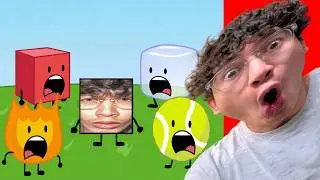 My Viewers Forced Me To Watch BFDI
