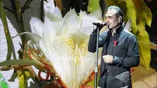 Νότης Σφακιανάκης. Καλλιτέχνης.StudioVGgr.