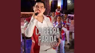 La Perra Parida (En Vivo)