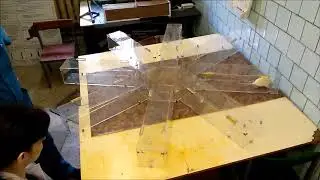Даже крысу можно научить. Реальный эксперимент