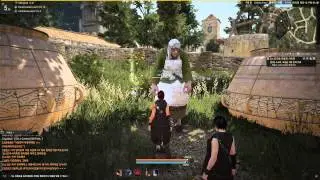 Black Desert - OBT - Bumping Into NPCs (Pt. 1)