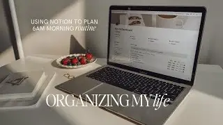Organizing My Life | How I Use Notion to Plan 6AM Productive Morning Routine