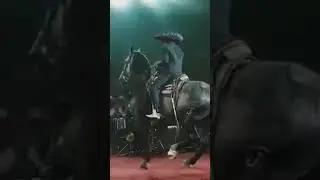 Incredible dancing horse 2  #shorts #youtubeshorts #dancinghorse