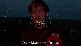 James Marriott - Denial