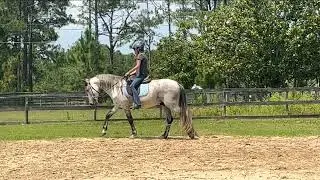 A great exercise to improve shoulder in with your horse