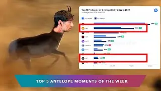 AntelopeIO Top 5 Moments Of The Week! #7