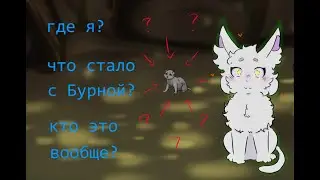 Где же теперь я живу? | catwar