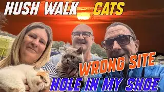 Hush Walk - Cats - Wrong Site - Hole in my SHOE