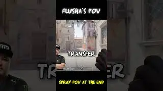 "The most insane banana entry I've ever seen". Flusha
