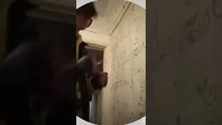 а я голосую за войну