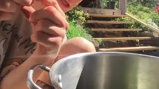 Survivalist technology: how to make Spring dandelion soup