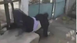 Жёстко упал