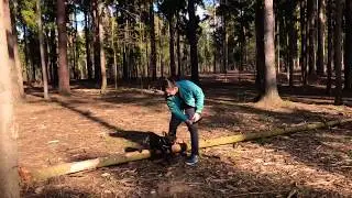 Прогулочка в лесу с Брюсом