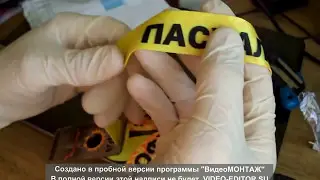 Вскрытие покажет! Собачий отпугиватель